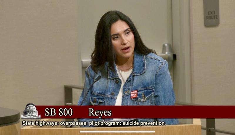 Senator Sabrina Cervantes (SD 31) presenting SB 800 in Senate Transportation Committee on behalf of Senator Eloise Gomez-Reyes 