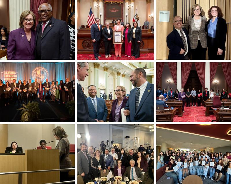 a 9-photo collage features pictures of the Senator and her staff meeting with constituents and presenting bills in committee