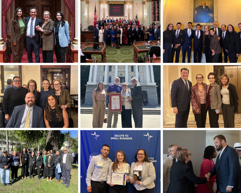 a 9-photo collage features pictures of the Senator and her staff meeting with constituents and presenting bills in committee
