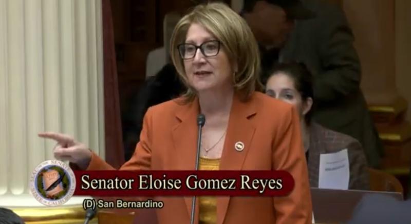 Image of Senator Reyes Speaking on the Senate Floor